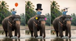 Spot the Difference Puzzle: Identify 3 Changes in the Boy Riding an Elephant Images